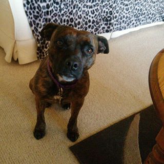 Anne McLauchlan's avatar