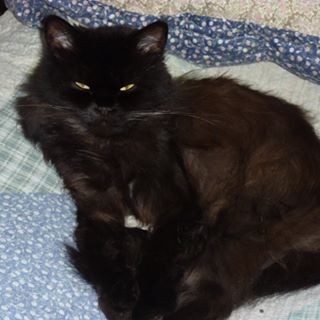 Ulrika Eriksson-Walker's avatar