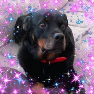 Janice Kirrage's avatar