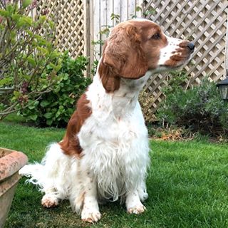 Molly Simmons's avatar