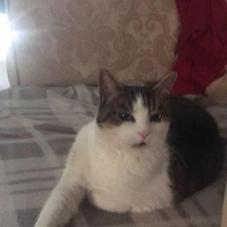 Sara Barrett's avatar