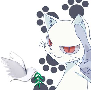 Sharon Walsh's avatar