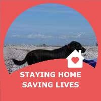 Cynthia Jones's avatar