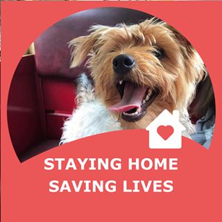 Mags Ingram's avatar