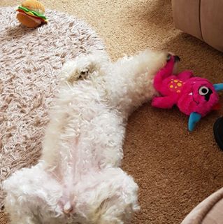 Karen Harvey's avatar