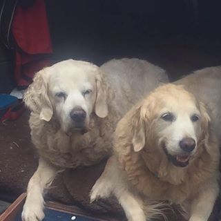 Beryl Tebble's avatar