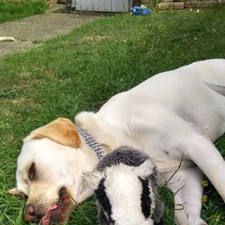 Martin Grout's avatar