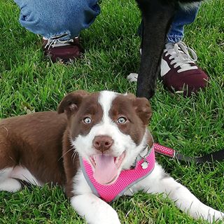 Michelle Davie's avatar