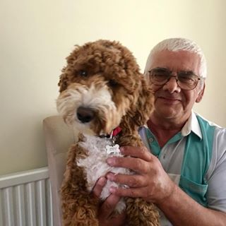 Michael Saunders's avatar