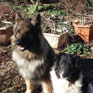 Deanna Singh's avatar