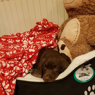 Sue Perkins's avatar