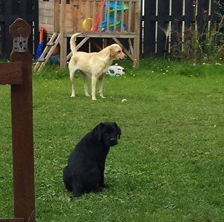 Tracy Bates's avatar