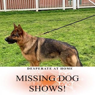 Carole Spelman's avatar