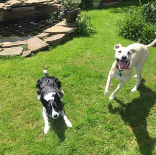 Jessica Barnes's avatar