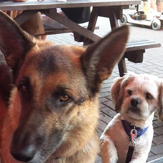 Sonia Barrett's avatar