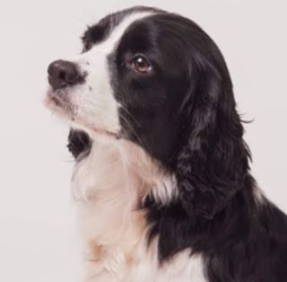 Doreen Burton's avatar