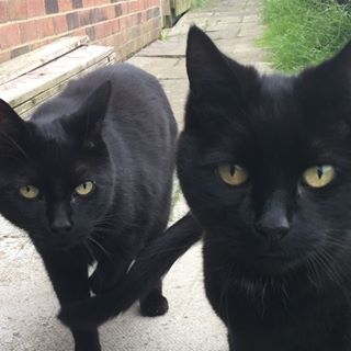 Karen Boughton's avatar