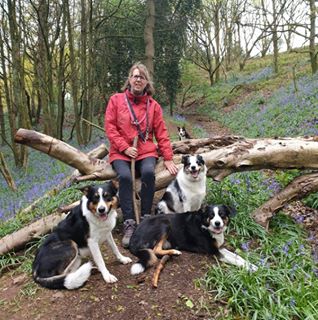 Jackie Allbut's avatar