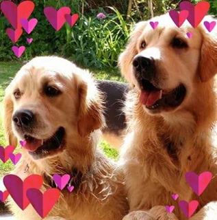 Pauline Chiverton's avatar