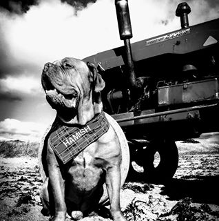 Iain Thomson's avatar