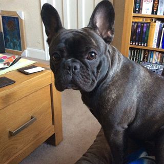 Jackie Warner's avatar