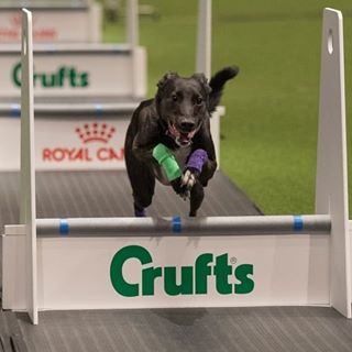 Kim Gillespie's avatar