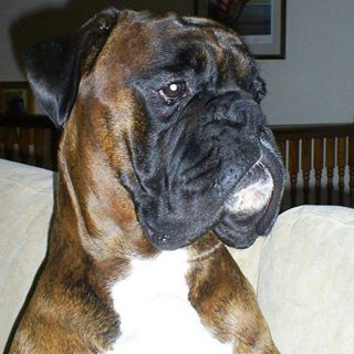 Linda Sparrey's avatar