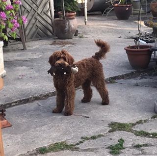 Shanie King's avatar