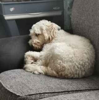 Julie Elizabeth Gutridge's avatar