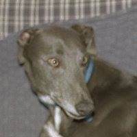 Alan Hudson's avatar