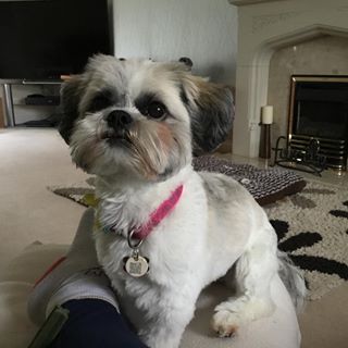 Michelle Hill's avatar