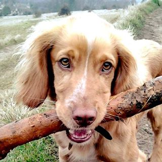 Jane Wathen's avatar