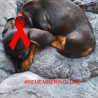 Diane Armstrong's avatar