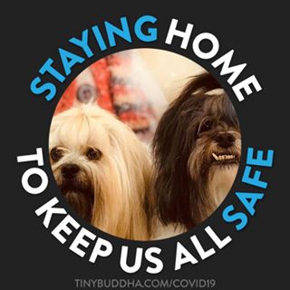 Bonnie Cade's avatar