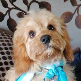 Ellie Millman Marshall's avatar