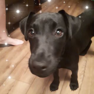 Dawn Douglas's avatar