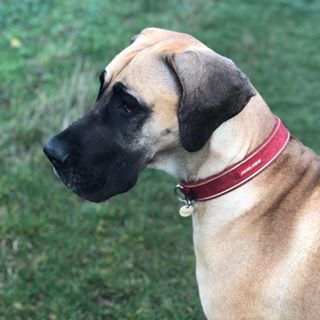 Susan Haydon's avatar