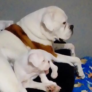 Maureen Whittington's avatar