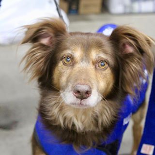 Kirsty Walker's avatar