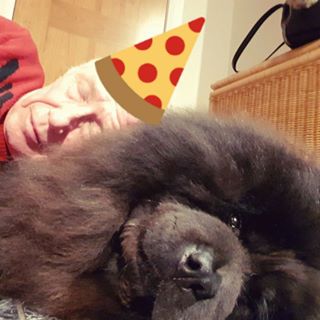 George Radke's avatar