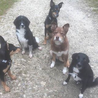 Judy Stewart's avatar