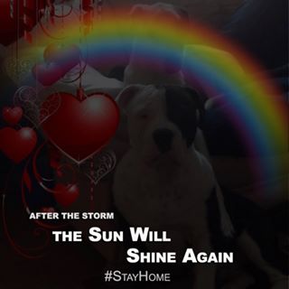 Wendy Southern's avatar