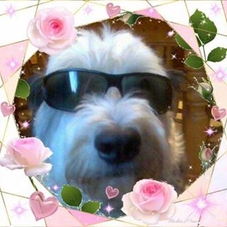 Synglitiki Demetriou's avatar