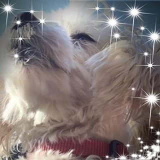 Cindy Anderson's avatar