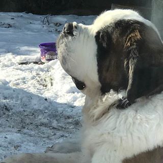 Kay Friend's avatar