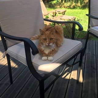 Sally Smoothy's avatar