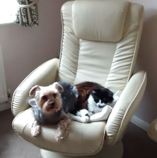 Janet Mackenzie's avatar