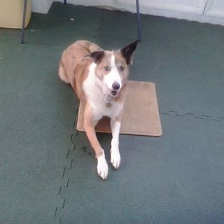 Christine Smedley's avatar