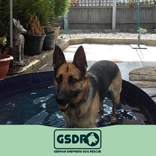 Louise Bridgman's avatar