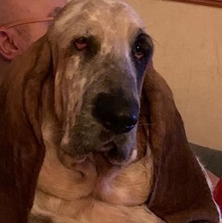 Anne Murray's avatar